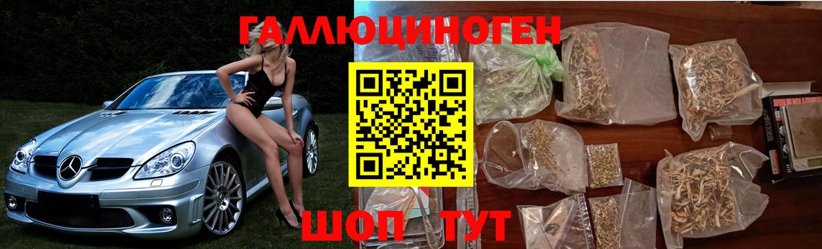 Галлюциногенные грибы Cubensis Куйбышев
