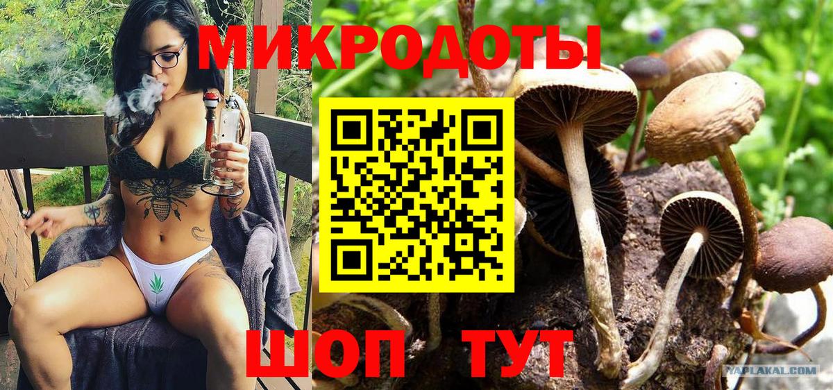 купить наркоту  Галлюциногенные грибы MAGIC MUSHROOMS  Вход с VPN  Куйбышев  Галлюциногенные грибы Cubensis 